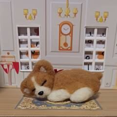フカフカピンクの布団で寝ている可愛いワンちゃん　　羊毛の画像