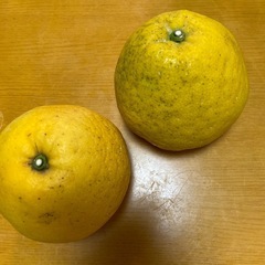 果物