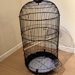 鳥かご　　黒　きれいです