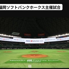 福岡ソフトバンクホークス　5月27日、5月28日　ペア券