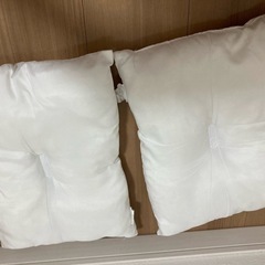 ピカチュウ イーヴイ 枕 2つの画像