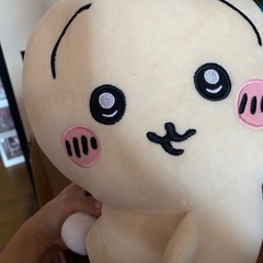 ぬいぐるみ