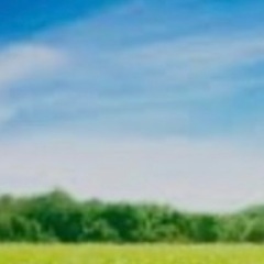 🌲リアルでもオンラインでも、ゆるっとつながろう👍〜メンバー募集中🌲
