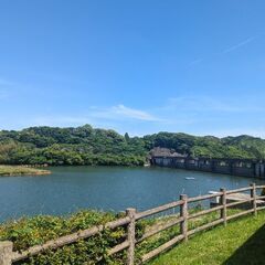 音楽仲間募集