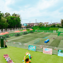 【5~6月多数募集あり】千葉県八千代市の大型ドッグランでのキッチ...
