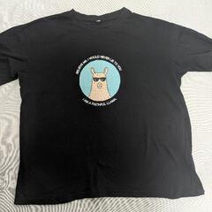 LL カットソー、Tシャツまとめ売りの画像