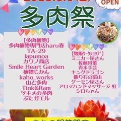 '25  6/1「多肉祭」と昔ながらの「青空市」フリーマーケット