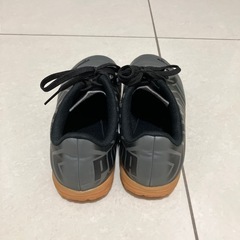 PUMAフッドサル用20センチの画像