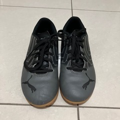 PUMAフッドサル用20センチの画像