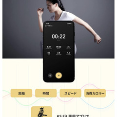 KingSmith WalkingPad R2 ルームランナー 家庭用 電動 静音 10km/h ウォーキングマシン ランニングマシン 電動ルームランナー トレッドミル キングスミス ジョギングマシン 組み立て不要 折り畳みタイプ 省スペースの画像