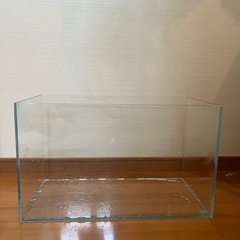 水槽　ADA 60cm規格