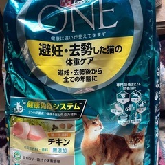 ピュリナキャットフード