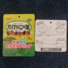 保温保冷BIGマルチバッグの画像