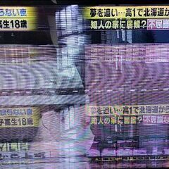 ４９型「液晶破損」テレビ、差し上げます
