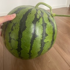 すいか
の画像