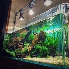 不要になった水槽、アクアリウム用品引き取ります‼️