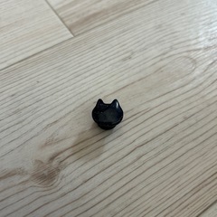 ピアス00黒猫