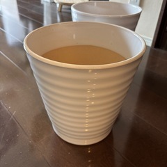 観葉植物用の鉢お譲りします