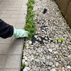 川口市東本郷　マンション日常清掃スタッフ　週2回の画像