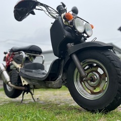 ホンダ　ズーマー　原付バイク　【現役稼働中の走行車】