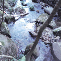 清流にほぼ接していて水遊びOKの土地