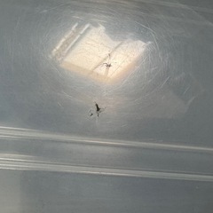 7個！衣装ケースセット☆美品☆カインズ☆個数相談可能♪の画像