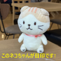 【飛び込み歓迎！府中駅直通・ルシーニュで毎週占い受付中】