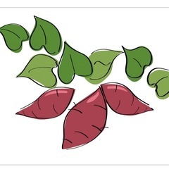 さつまいも植付