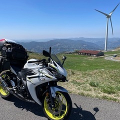 Yamaha YZF-R25 ホワイト/イエロー スポーツバイク 