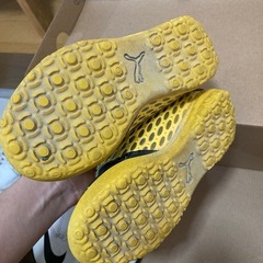 サッカーシューズの画像