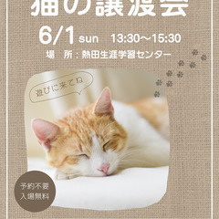６／１保護猫譲渡会　名古屋市 