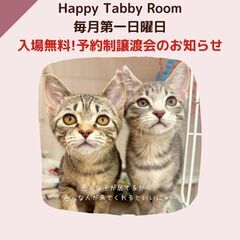 6月1日　入場無料デー！動物病院の保護猫譲渡会