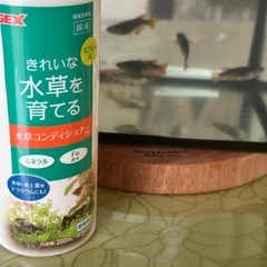 水草を育てる