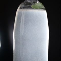 予約済ゾウリムシ　１ℓ ❷