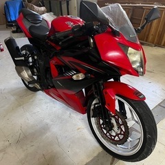Ninja250sl
