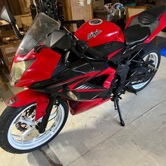 Ninja250sl
の画像