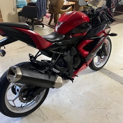 Ninja250sl
の画像