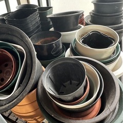 使用済み　プラスチック鉢　大量