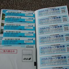 ANA株主優待　正規運賃が半額で購入できるチケット　2026/11