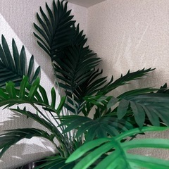 ヤシの木　フェイクグリーン　観葉植物の画像
