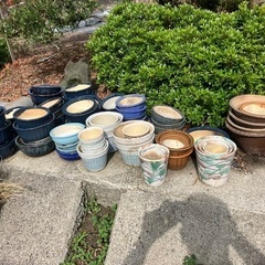 鉢　大量
