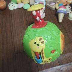 もちゃ　知育玩具　ジャングルアニマルロール　電子遊動の画像