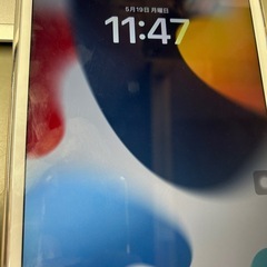 iPad mini5