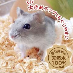 ¥1500 ミニアニマン 快適 やわらかベッド12L×4個 ウッドチップの画像
