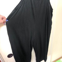 INGNIオールインワンの画像