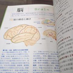 ドクターアリスが教える長寿の秘密の画像