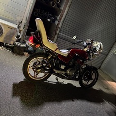 GSX250E   ゴキ