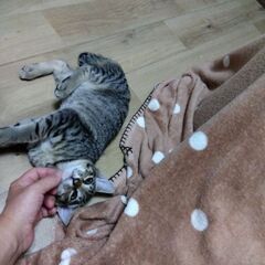 4ヶ月