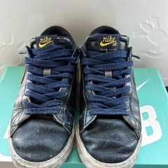 NIKESB
