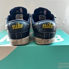 NIKESBの画像
